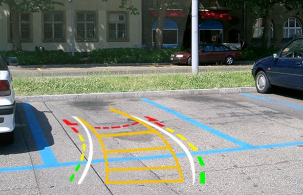 Vista della telecamera